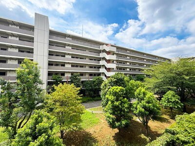 ＢＥＬＩＳＴＡ溝の口 現地写真