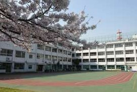 浅草ロイヤルマンション 小学校