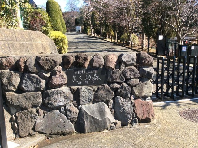 グリーンシティーたまプラーザ参番館 幼稚園