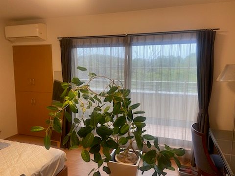 緒川植山　戸建 その他