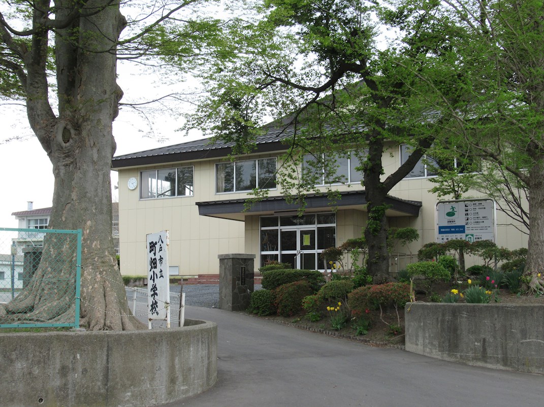 ◇八戸支店◇八戸市大久保大塚土地 小学校