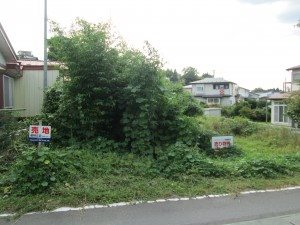 ◇八戸支店◇五戸町下タノ沢頭土地 その他