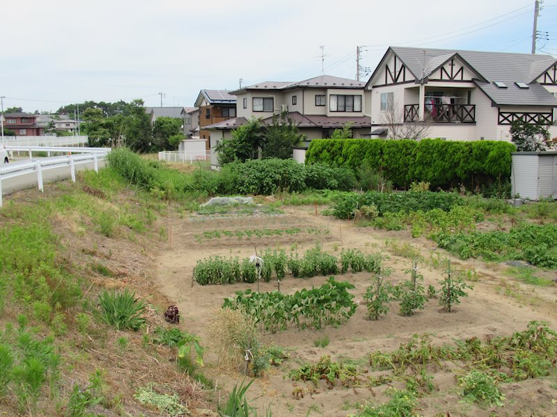 秋田市下新城長岡字耳取　土地 現地写真
