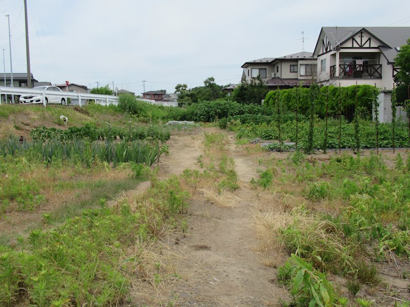 秋田市下新城長岡字耳取　土地 現地写真
