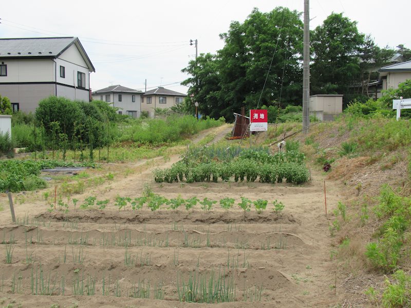 秋田市下新城長岡字耳取　土地 現地写真