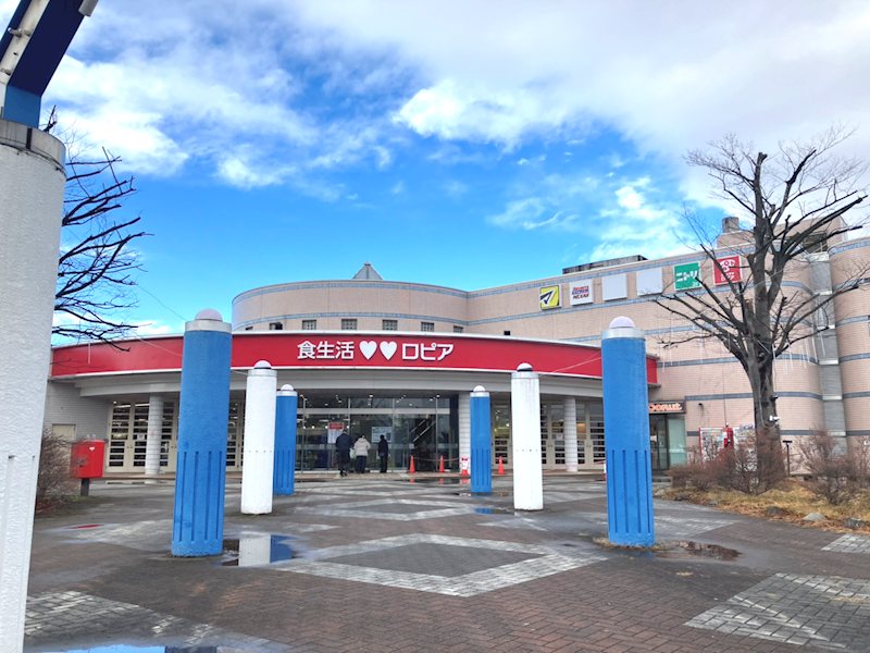 【ハシモトホーム】　花巻下小舟渡　分譲地　区画№2 その他