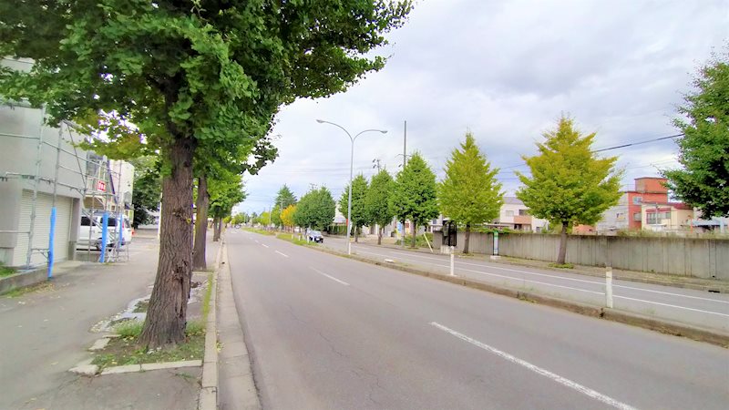 【土地】花園一丁目　 現地写真（前面道路含む現地写真）
