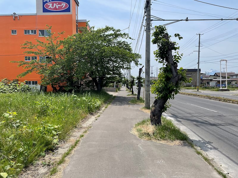五所川原市鎌谷町売地 現地写真（前面道路含む現地写真）