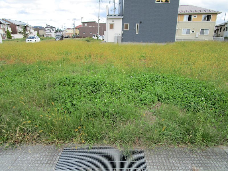 【建築条件付】八戸市田向1丁目2 (No.4) 現地写真