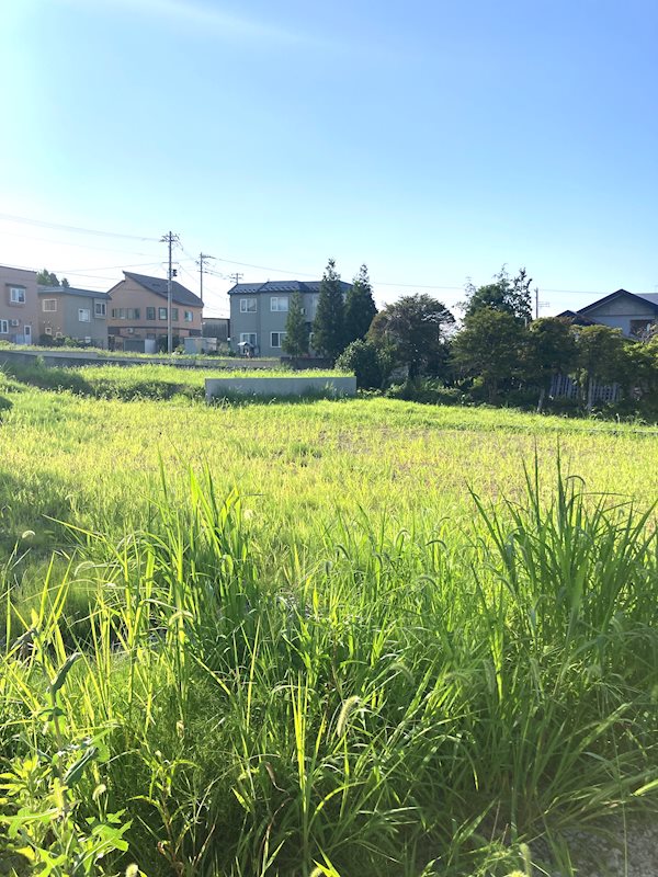 【ハシモトホーム売地】安田近野D その他