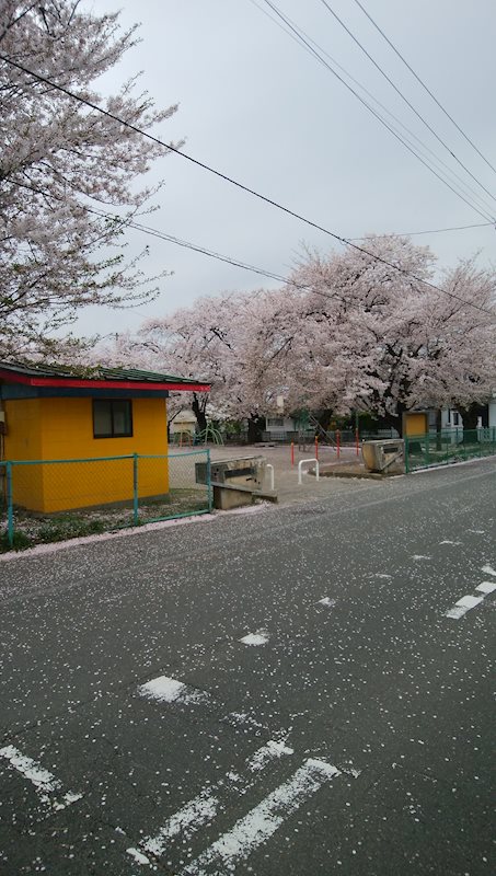 【ハシモトホーム】北上市常盤台二丁目土地 その他