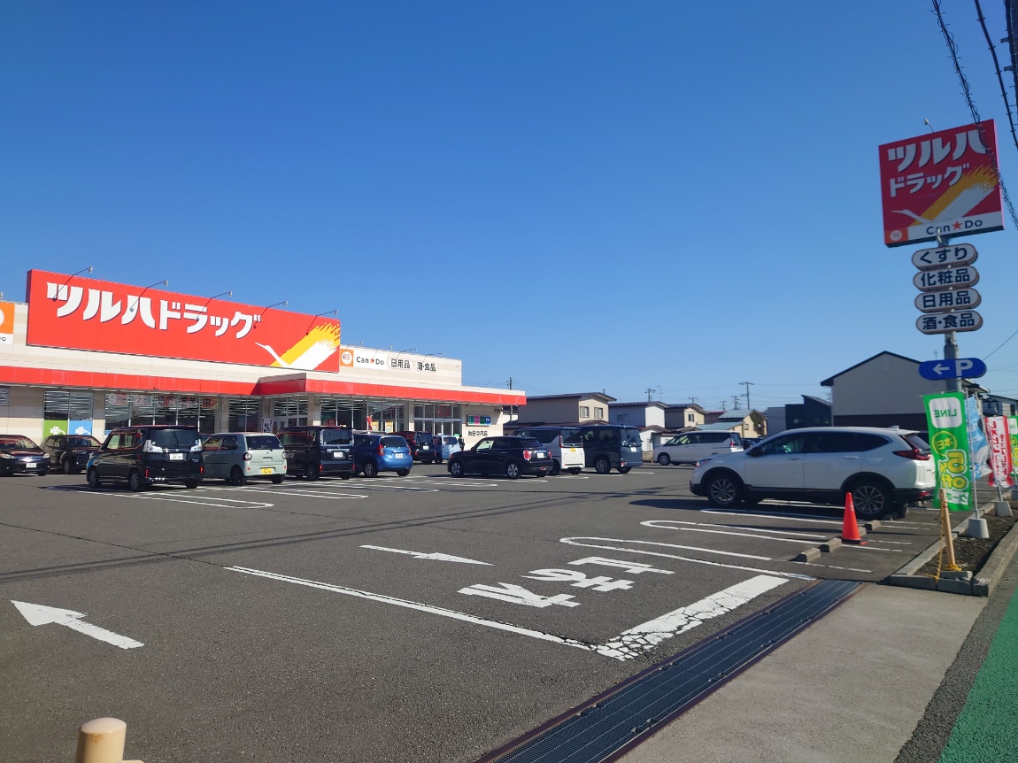 秋田市八橋大沼町141-11　【戸建B棟】 ドラッグストア