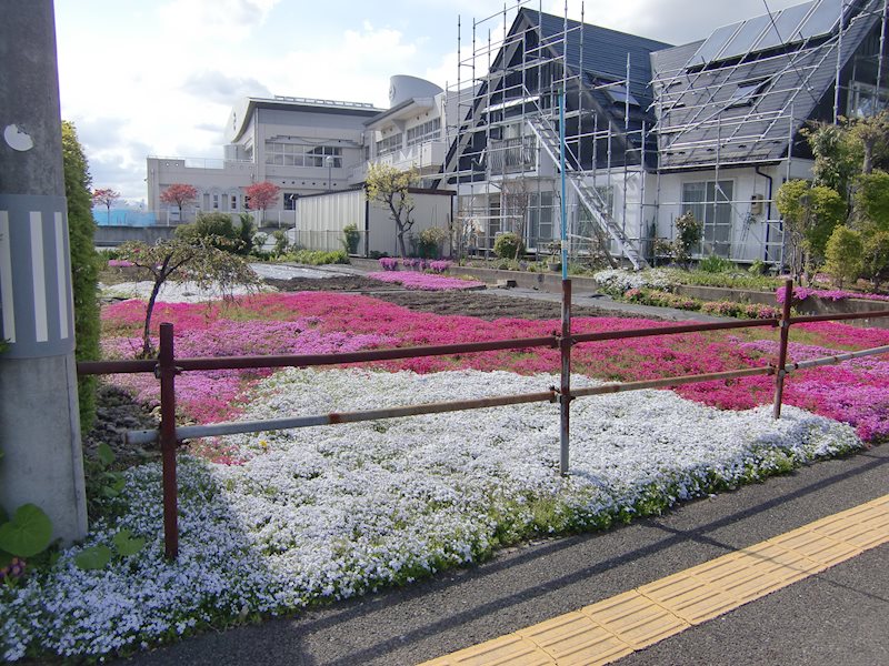 若葉町 売地 現地写真