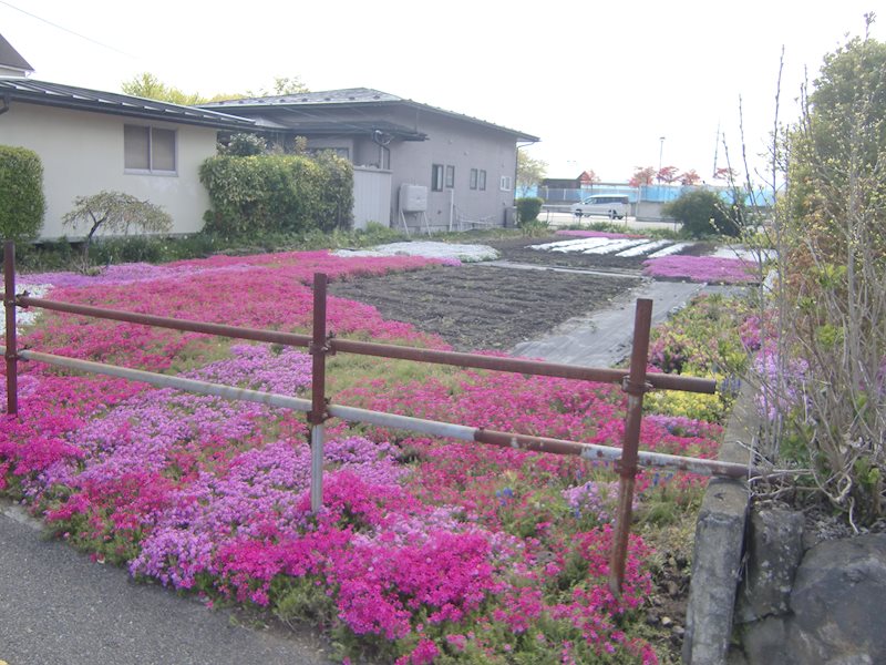 若葉町 売地 現地写真