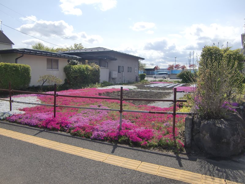 若葉町 売地 現地写真