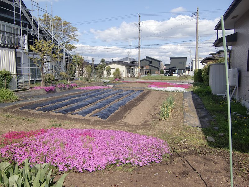 若葉町 売地 現地写真