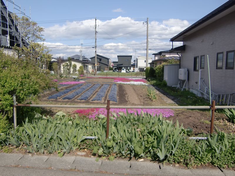 若葉町 売地 現地写真