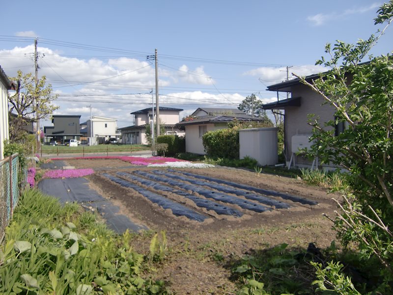 若葉町 売地 現地写真