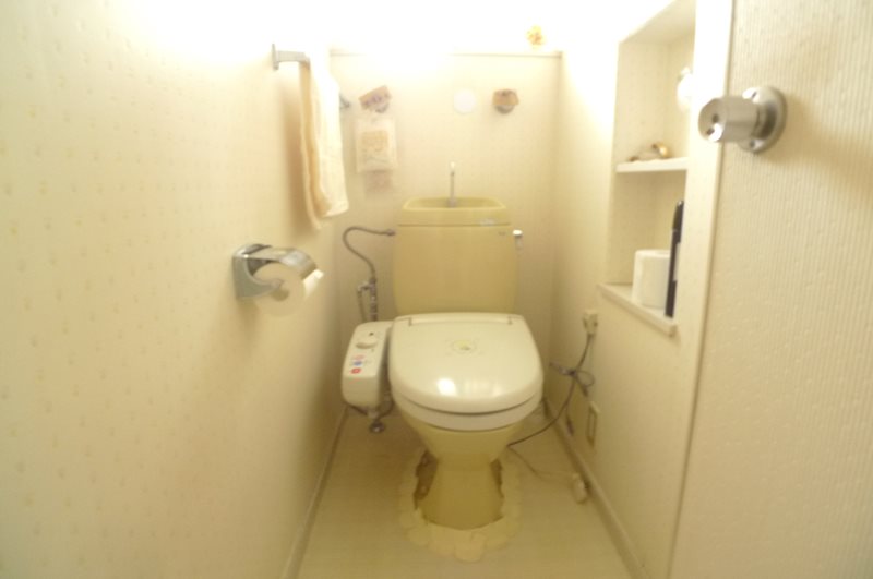 下米内1丁目 中古住宅 内観写真（トイレ）