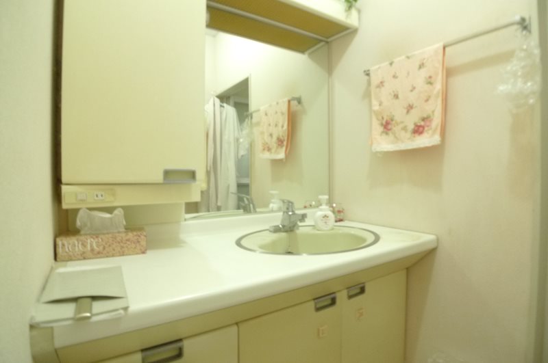 下米内1丁目 中古住宅 内観写真（洗面台・洗面所）