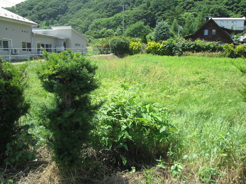 ♢八戸支店♢三戸町大字川守田字下比良18番5・18番6 その他