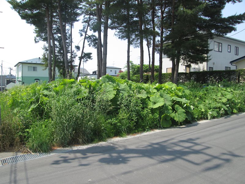 ♢八戸支店♢おいらせ町鶉久保50番81 その他