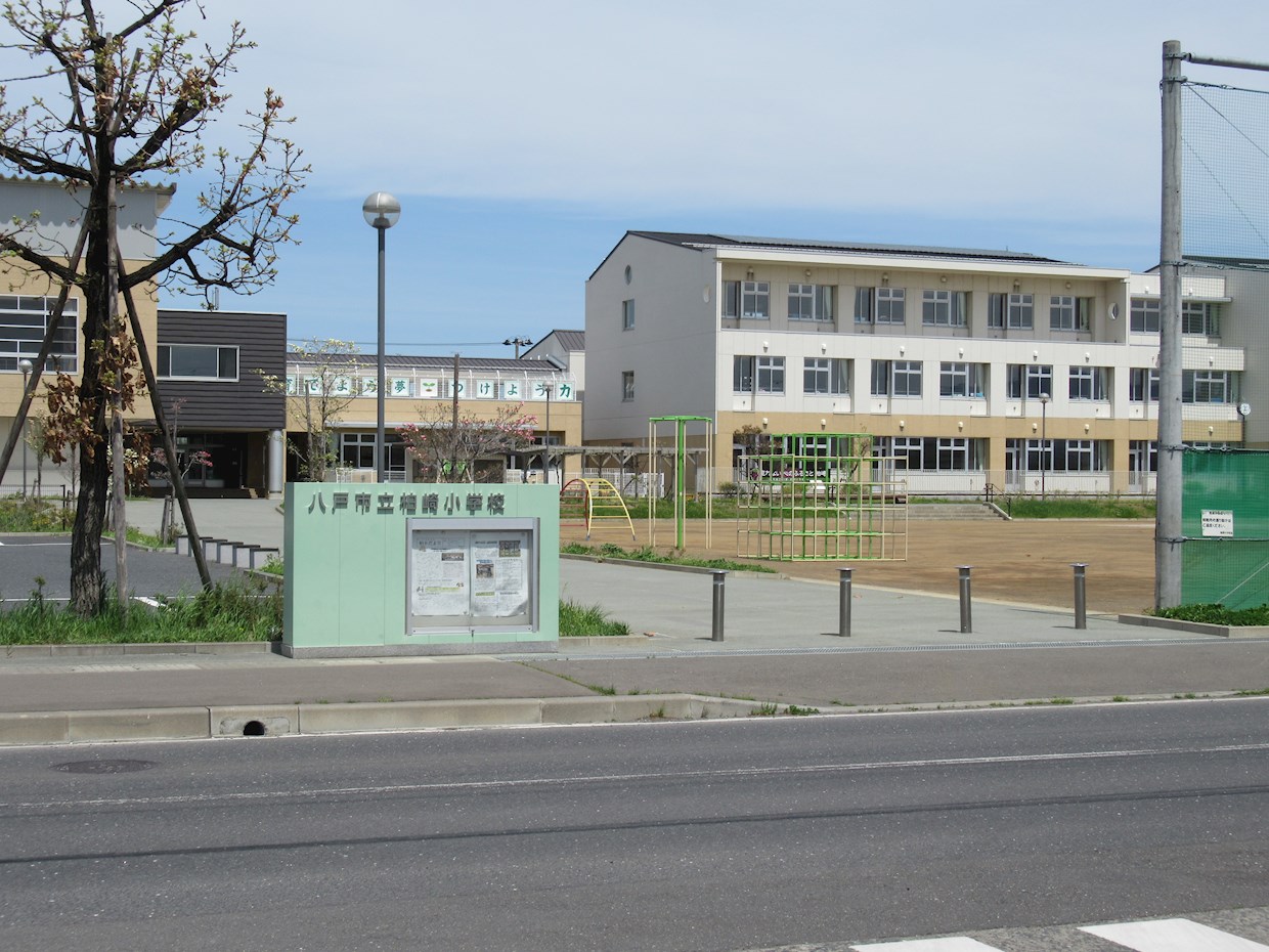 【建築条件付】八戸市青葉3丁目 （No.8） 小学校