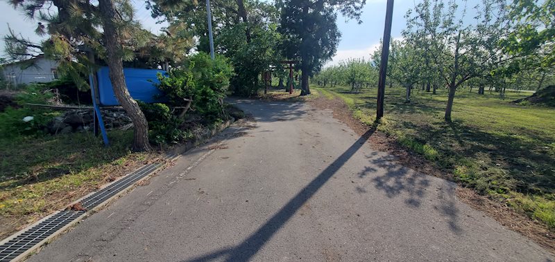 弘前市糠坪桜山売地 その他
