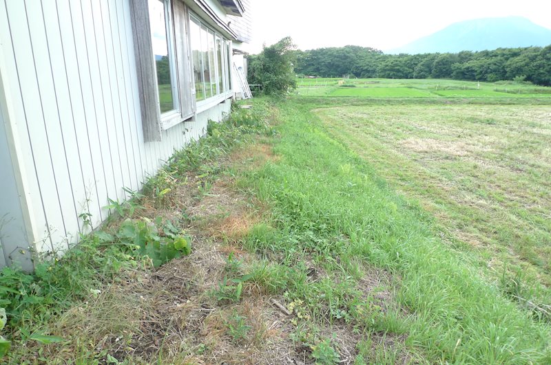 大崎 売地 現地写真