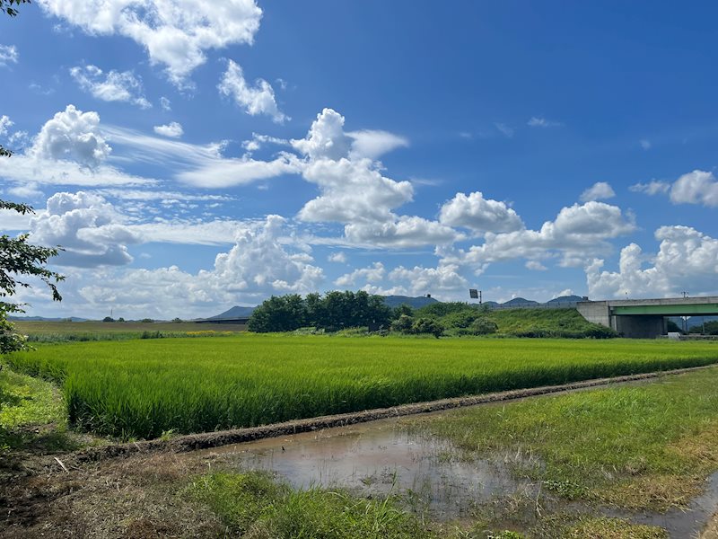 【売地】大仙市川目字町北１５ 眺望写真