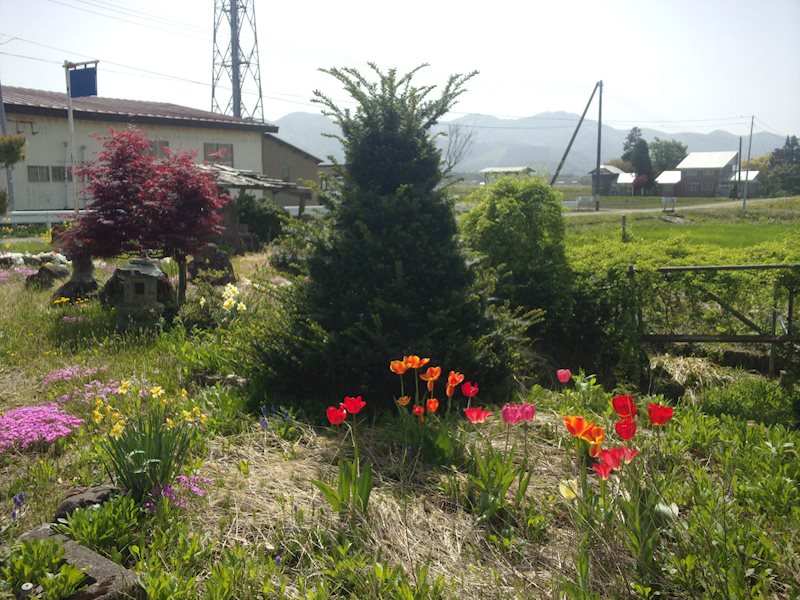 大仙市太田町太田字新田田尻74-1 現地写真（庭）
