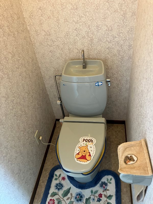 大仙市協和船岡字大袋 内観写真（トイレ）