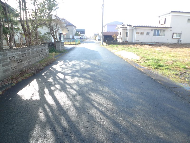 石鳥谷町南寺林 売地 現地写真（前面道路含む現地写真）