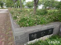 大仙市大曲須和町　A区画 公園