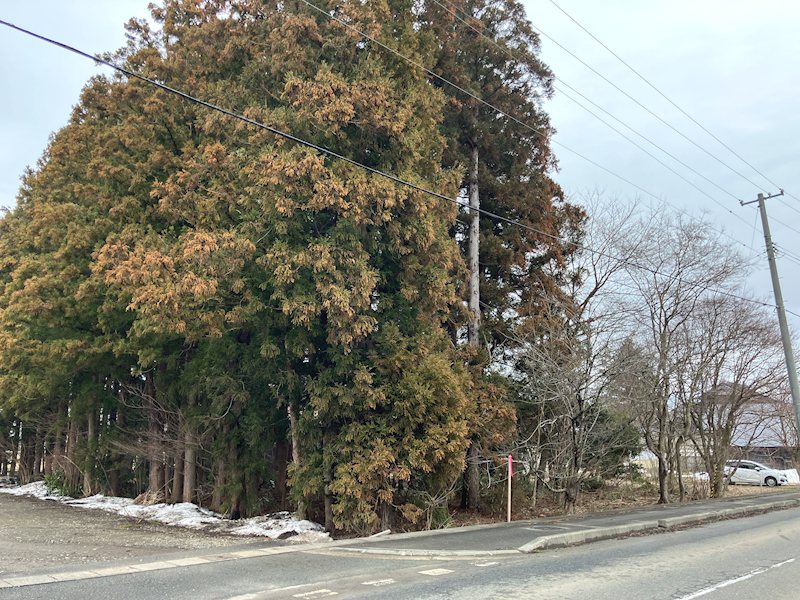 和賀町藤根 売地 現地写真