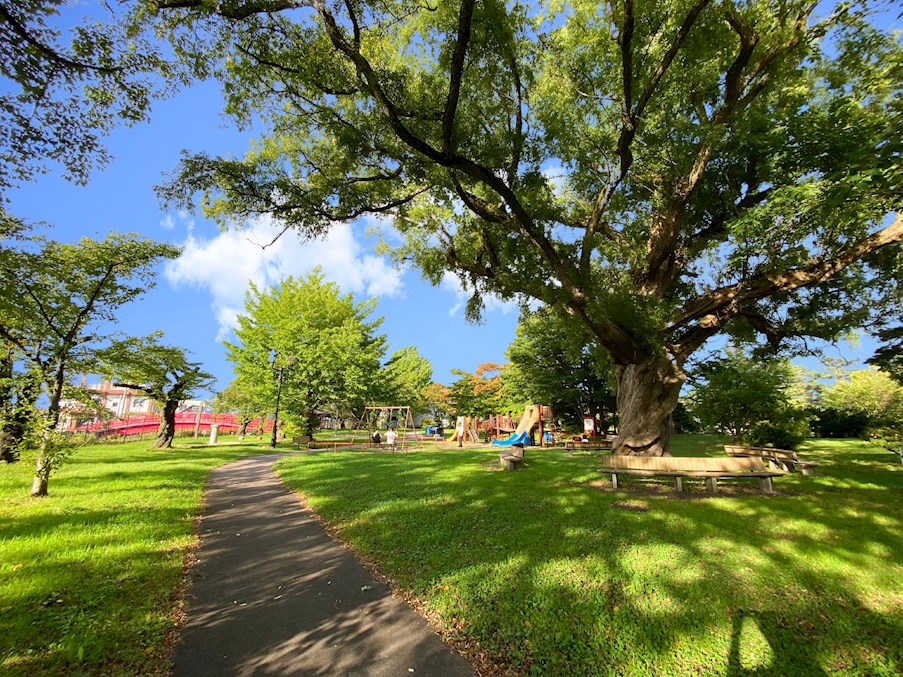 谷地町分譲A棟 公園