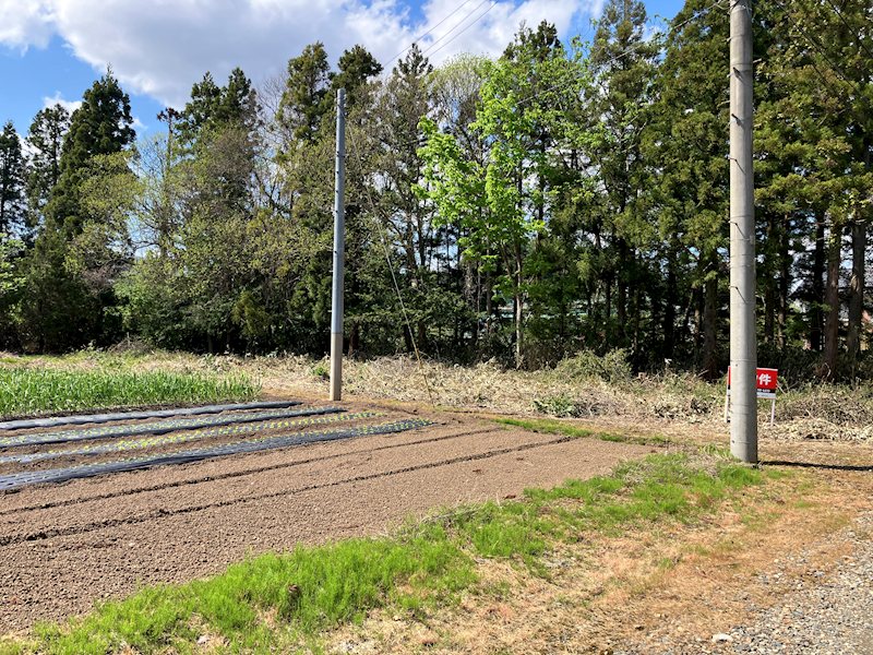 相去町 売地 現地写真