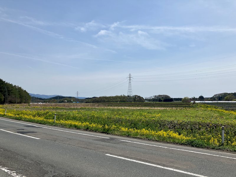 平笠24地割 その他