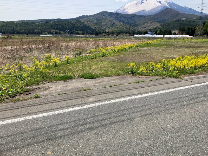 平笠24地割 その他