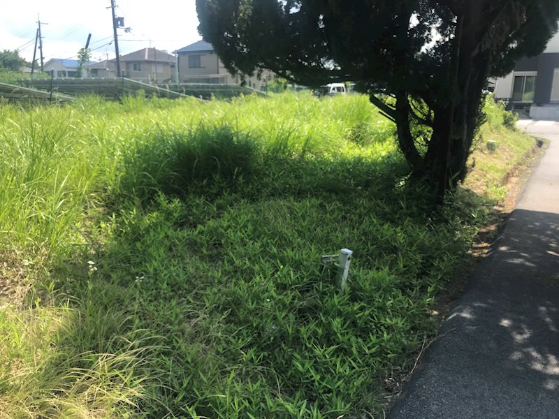 日野町村井売土地 その他