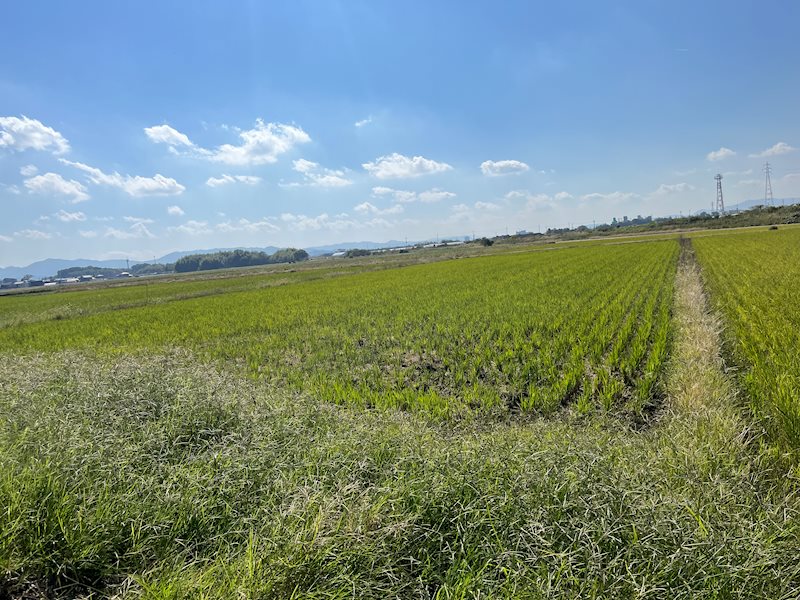 乙窪売土地（田） その他