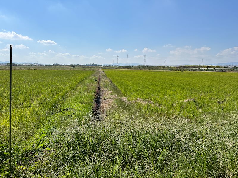 乙窪売土地（田） その他