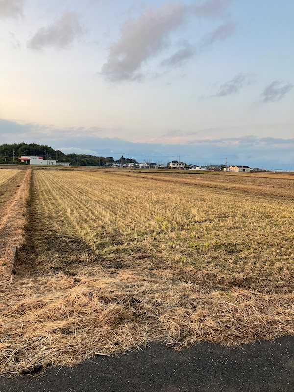 野洲市市三宅売土地（田） 外観写真