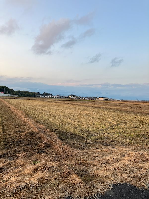 野洲市市三宅売土地（田） その他