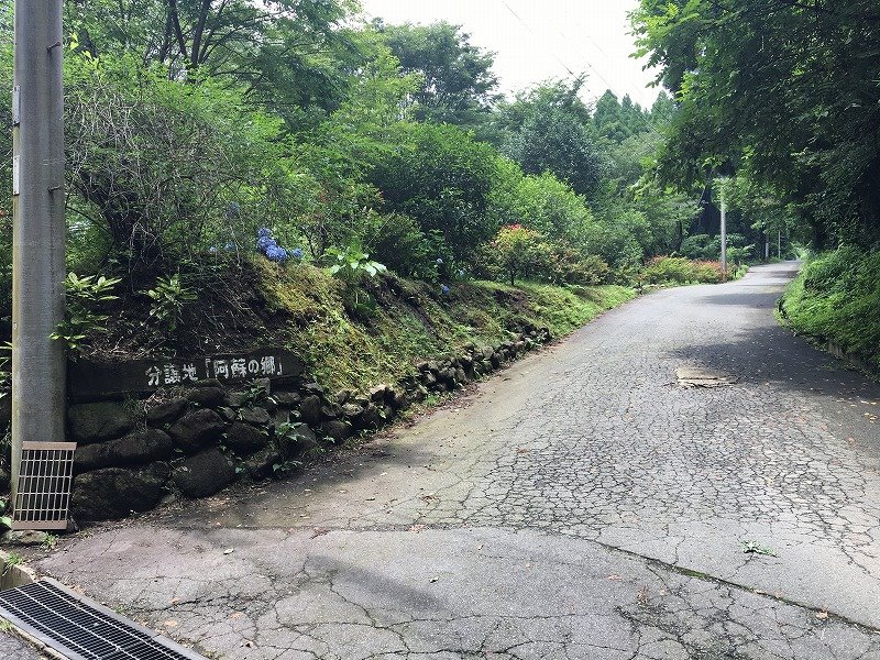 高森町色見土地 外観写真