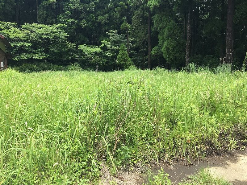 高森町色見土地 その他