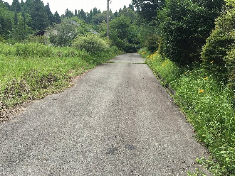 高森町色見土地 その他