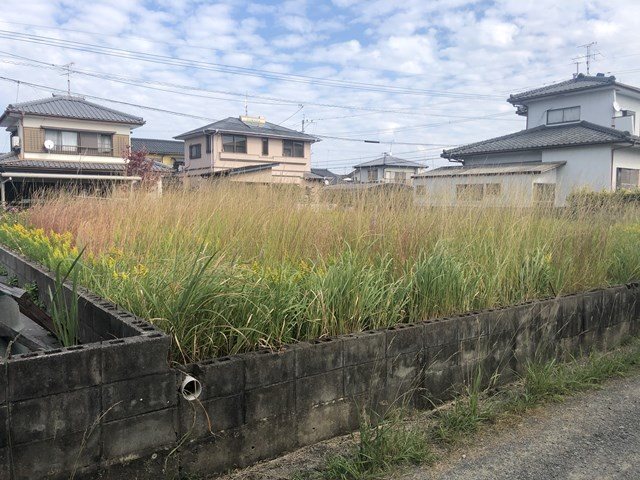 八代市松崎町土地  その他