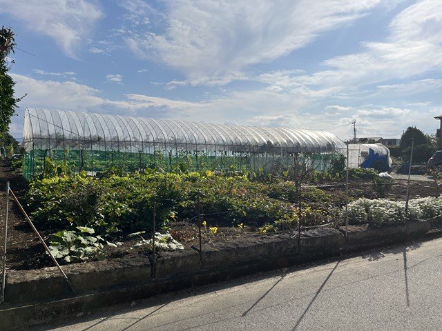 東区山ノ神2丁目土地 外観写真