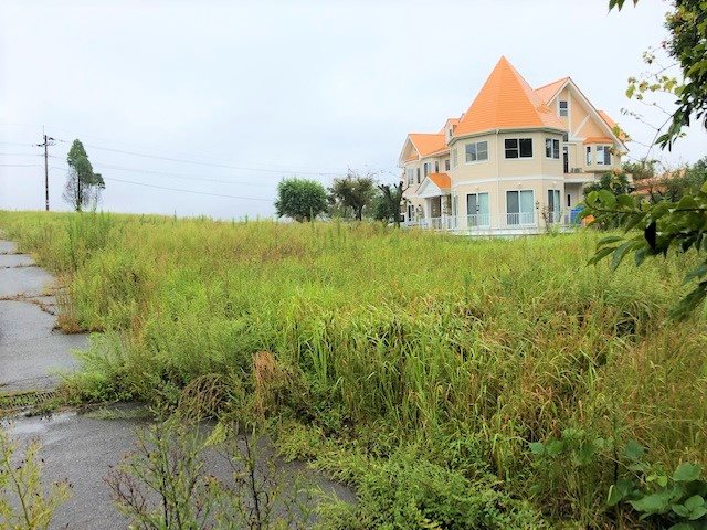 南阿蘇村河陽(猪解)土地 外観写真